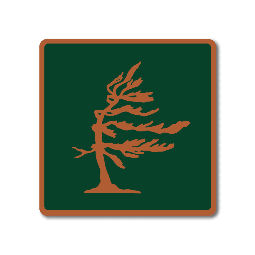 Pine Tree Mini Metal Sign