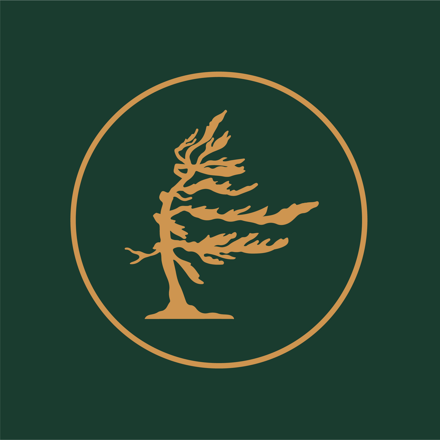 Vector illustration of a custom metal sign with simple design elements, representing personalized home or outdoor décor.